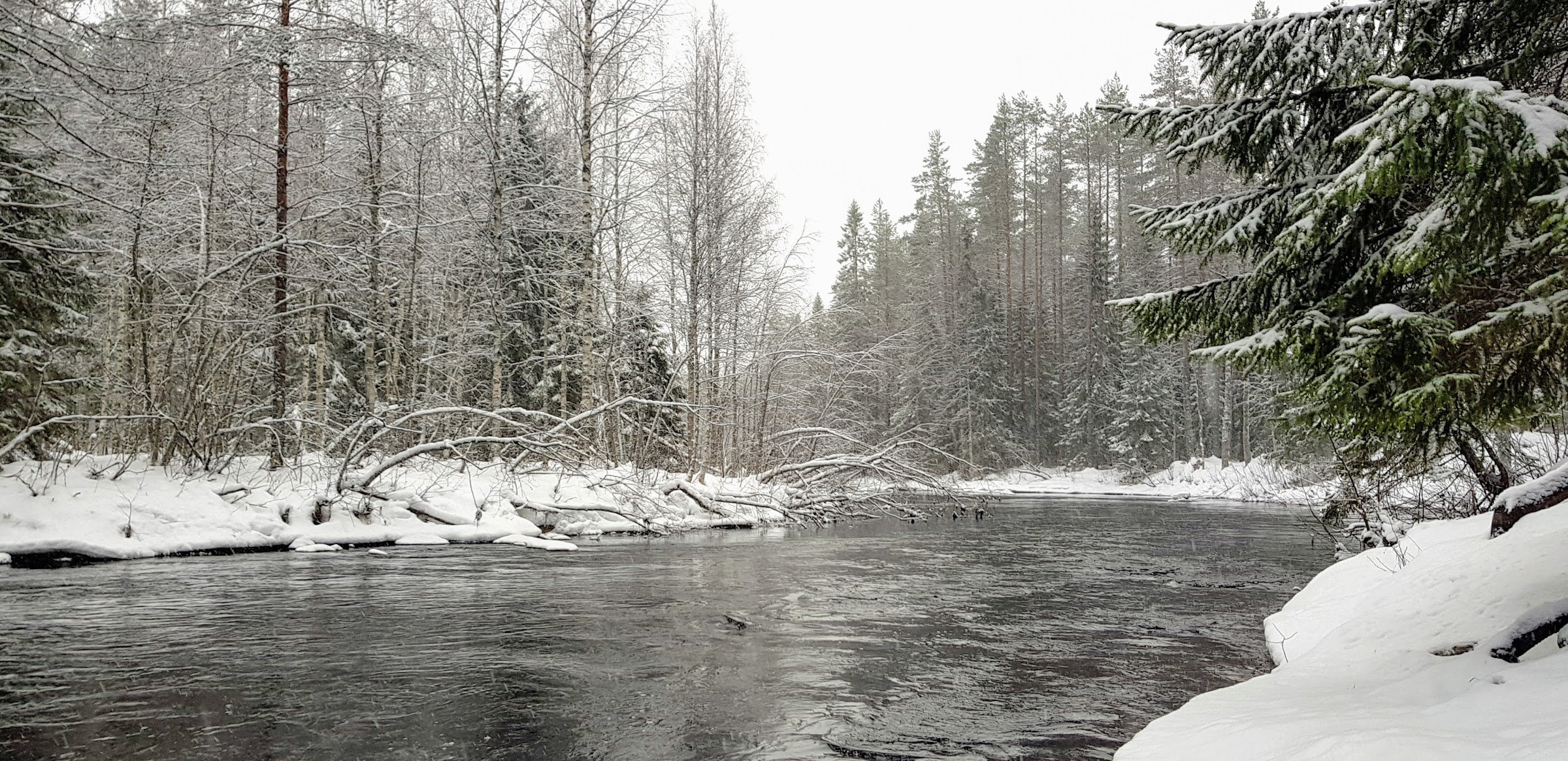 Makkarasärkkä, Vaikkojoki